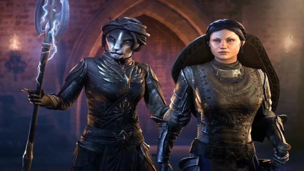 Elder Scrolls Companion Guide